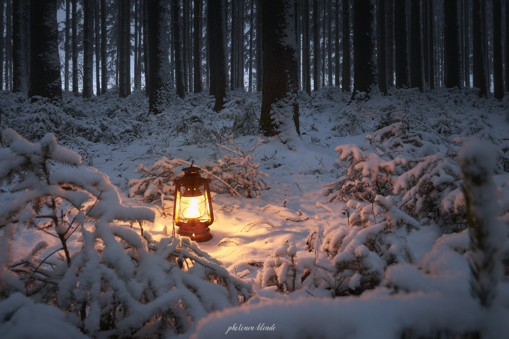 Read more about the article Waldfotografie Teil 1 – Winterstimmung